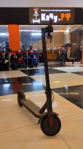 WhatsApp Image 2025-05-19 at 13.39.12