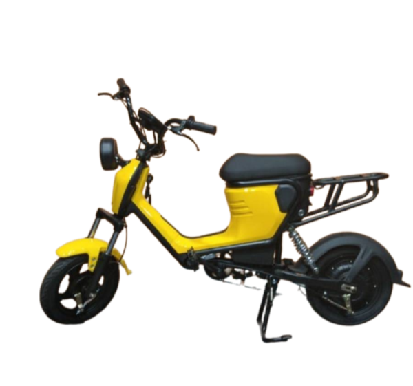 Remove-bg.ai_1731325807100